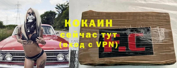 сатива Новодвинск