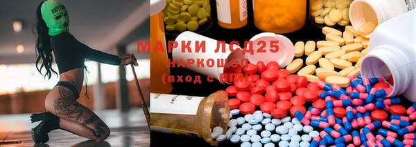 ГАЛЛЮЦИНОГЕННЫЕ ГРИБЫ Балабаново
