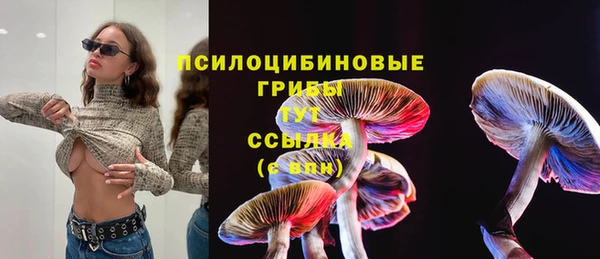 ГАЛЛЮЦИНОГЕННЫЕ ГРИБЫ Балабаново