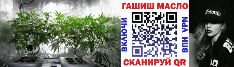 ТГК концентрат  Гдов 