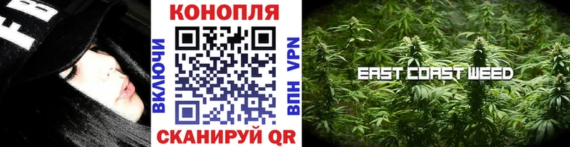 Канабис конопля  где продают   Гдов 